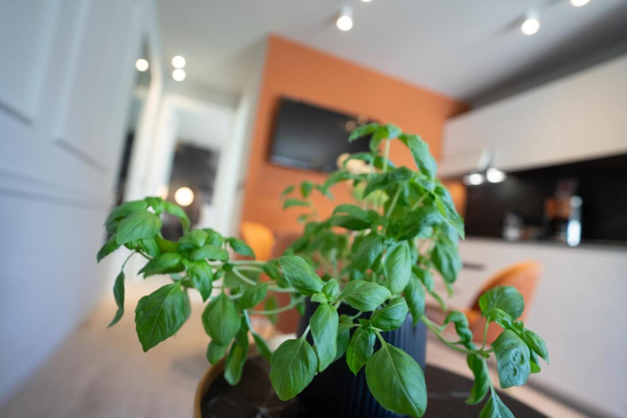 Prestige Studio Apartment 로비니 외부 사진